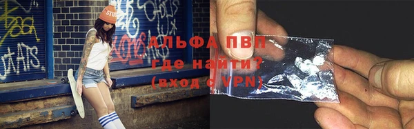 СК Ладушкин