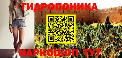 сатива Краснодар