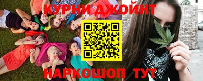 сатива Краснодар