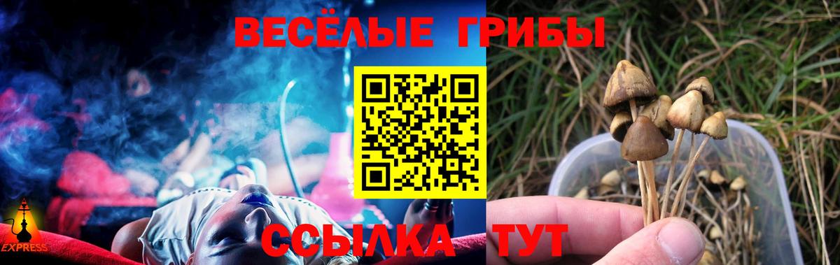Сухой Лог  Галлюциногенные грибы мухоморы  Псилоцибиновые грибы MAGIC MUSHROOMS  Вход с VPN 